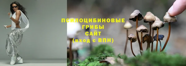 COCAINE Бердск