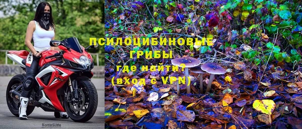 мдпв Михайлов