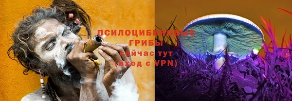 соль курить ск Богданович