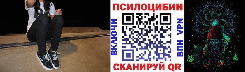 Псилоцибиновые грибы GOLDEN TEACHER где продают Дубовка