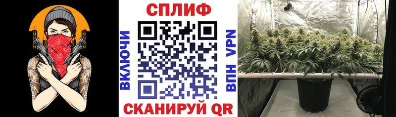 купить закладку  Дубовка  МАРИХУАНА LSD WEED 